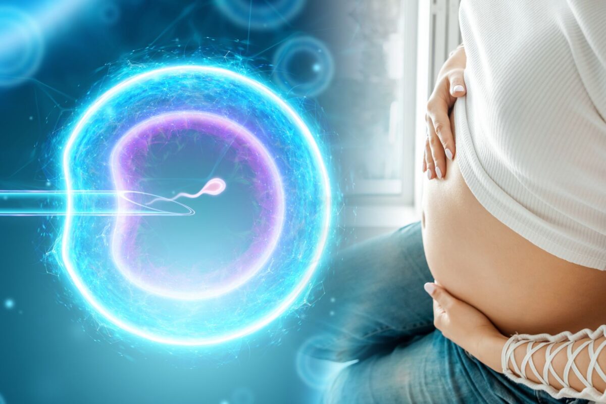IVF